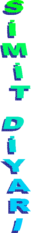 SMT DYARI